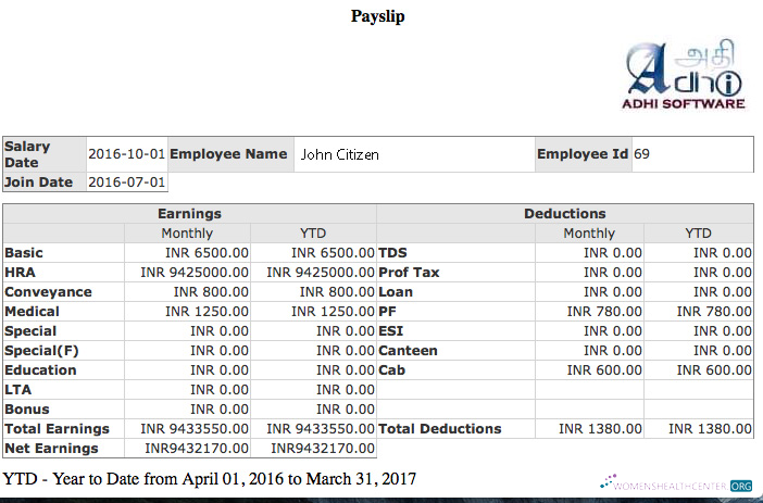Download INDIA ADHI Software company payslip template in Word and PDF formats Photoshop template